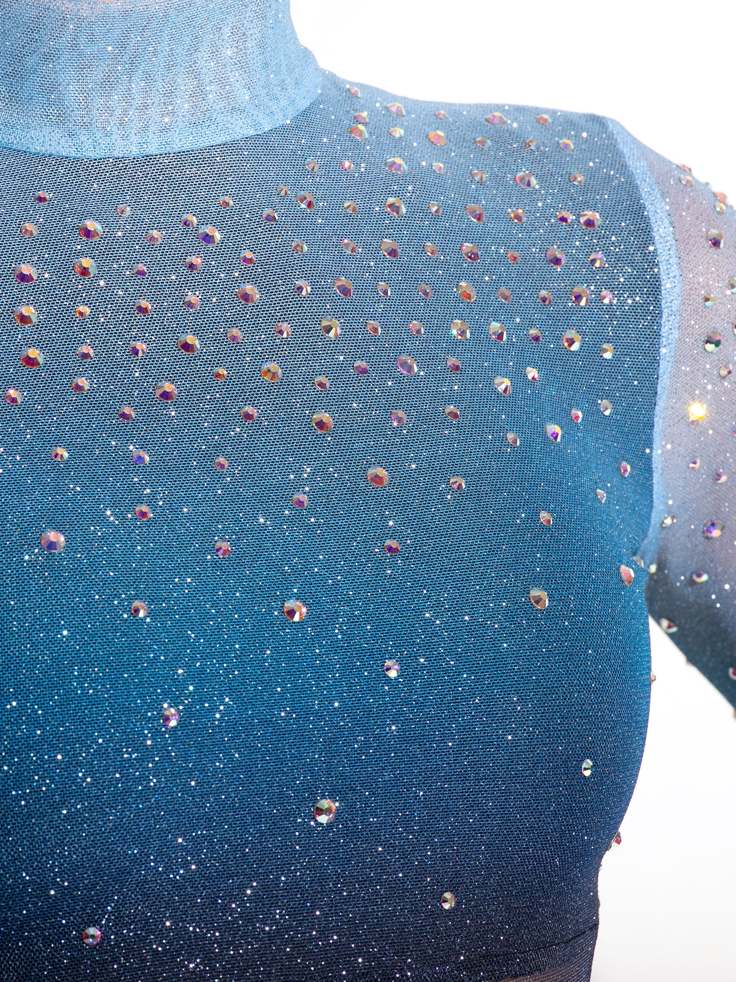 Rainey Glitter Mesh Unitard