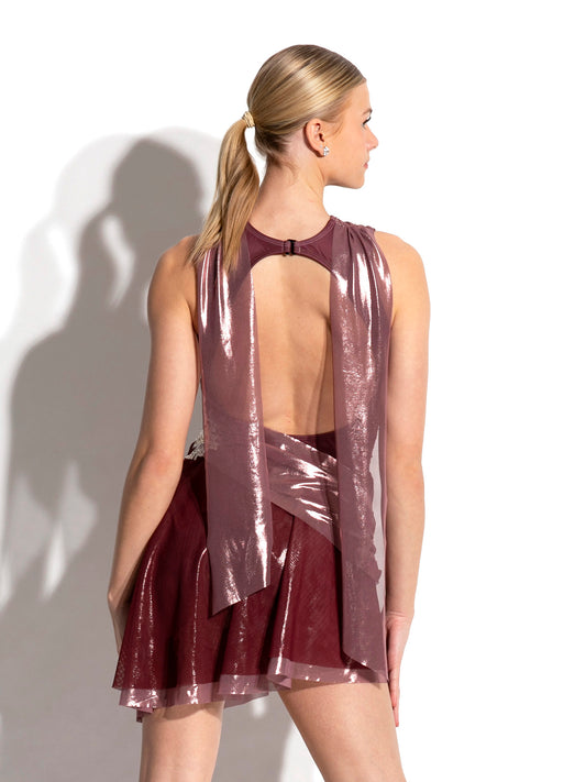 Sadie Metallic Mesh Skate Dress with Appliques