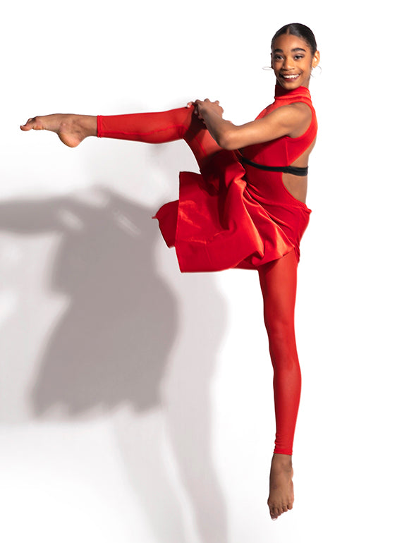 Andante Velvet Skirted Unitard Alternate Image 4