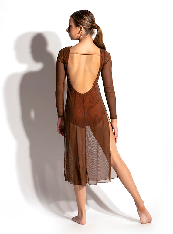 Celeste Mesh Dress Alternate Image 4