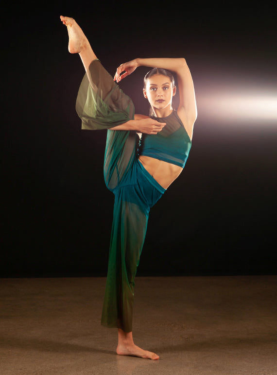 Gaucho Ombre Mesh Pants Alternate Image 4