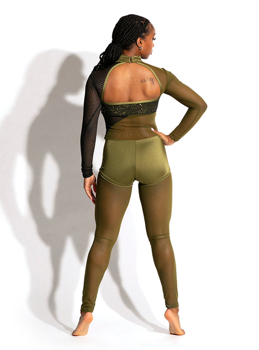 Rhiannon Pop Mesh Unitard Alternate Image