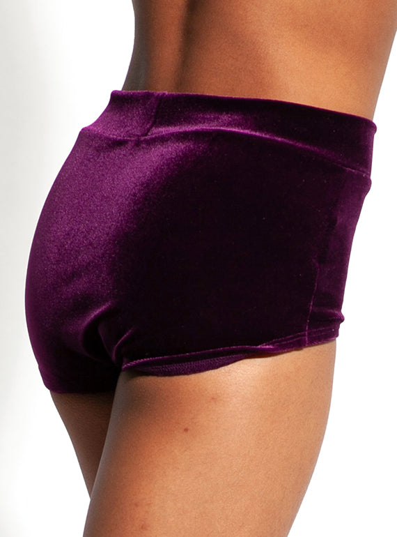 504-1 High Waist Velvet Brief Alternate Image 6