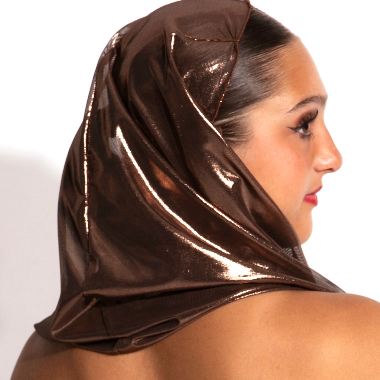 Dark Chocolate/Light Bronze Metallic Mesh