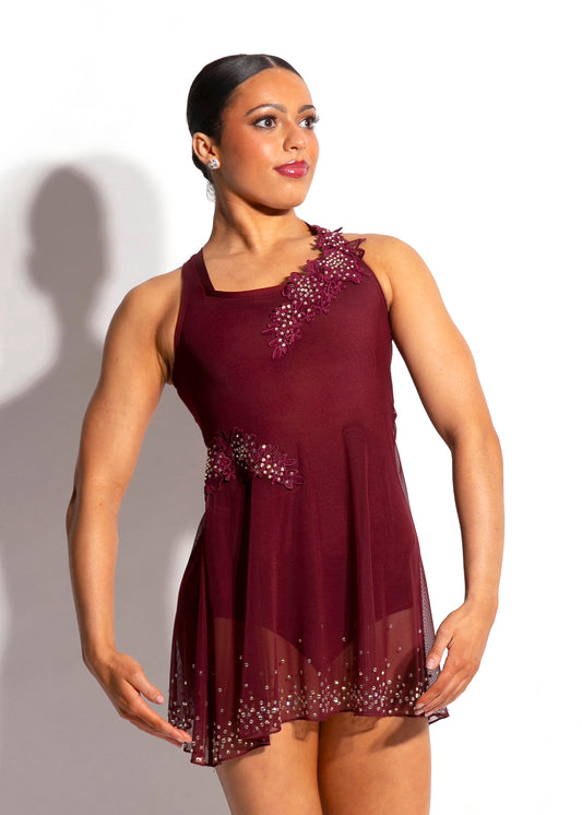 Aubrey Mesh Dress With Appliques