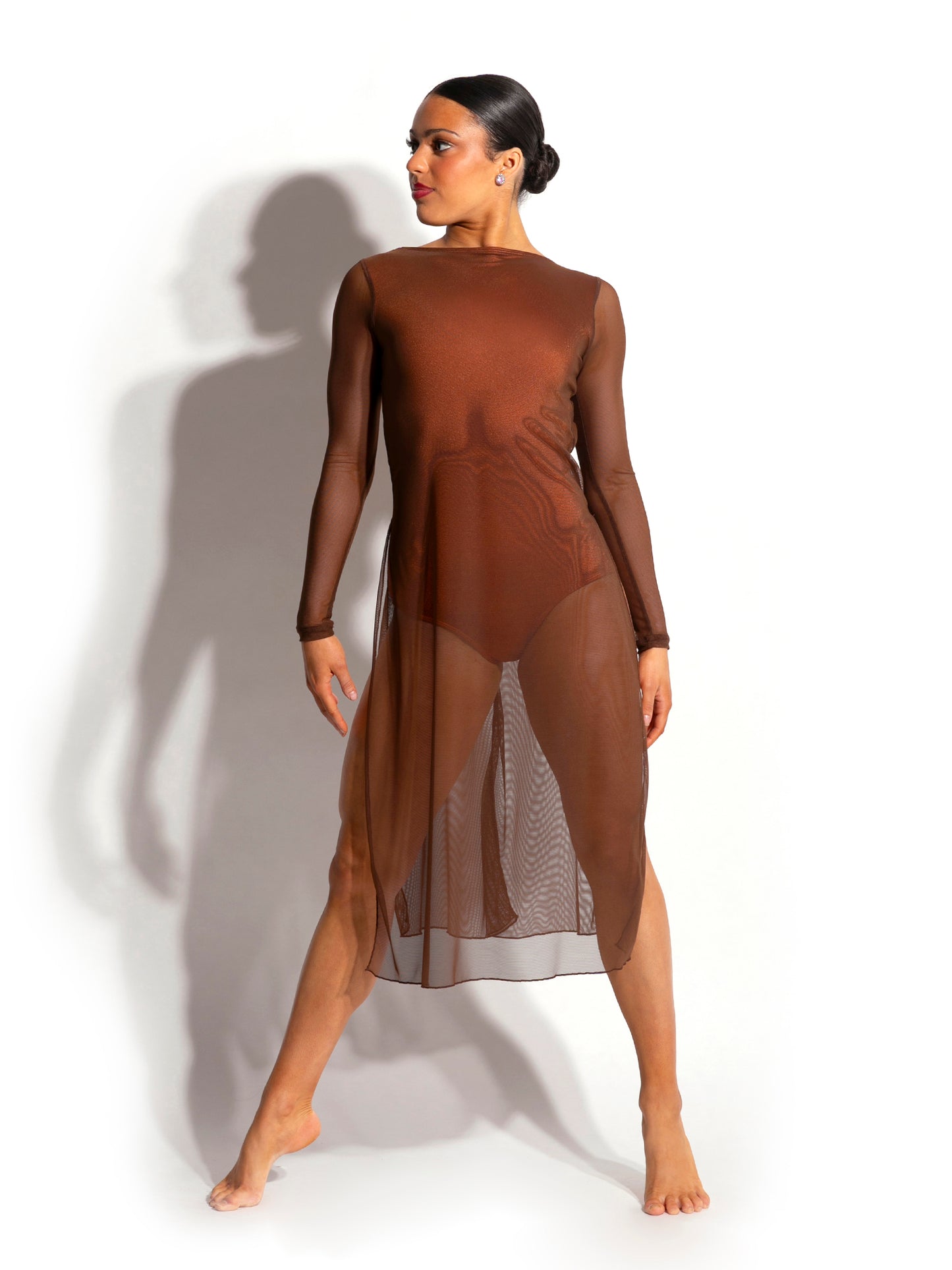 Celeste Mesh Dress