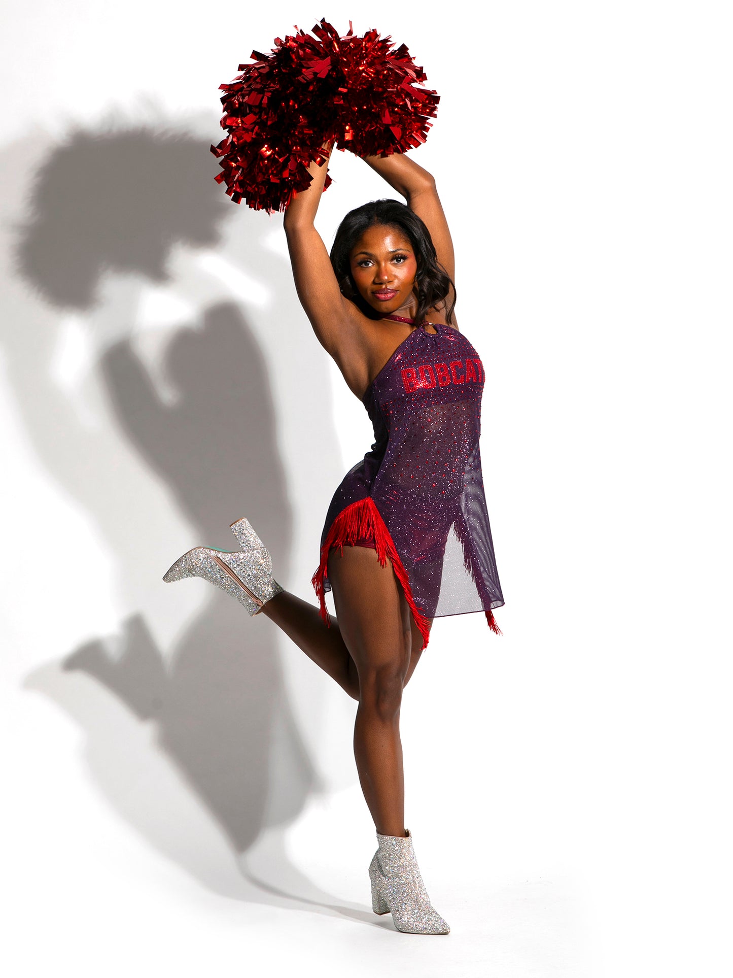 Celia Glitter Mesh Dress Set