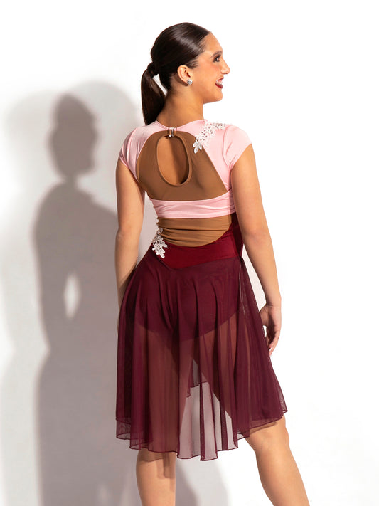 Clarke Skate Dress With Appliques