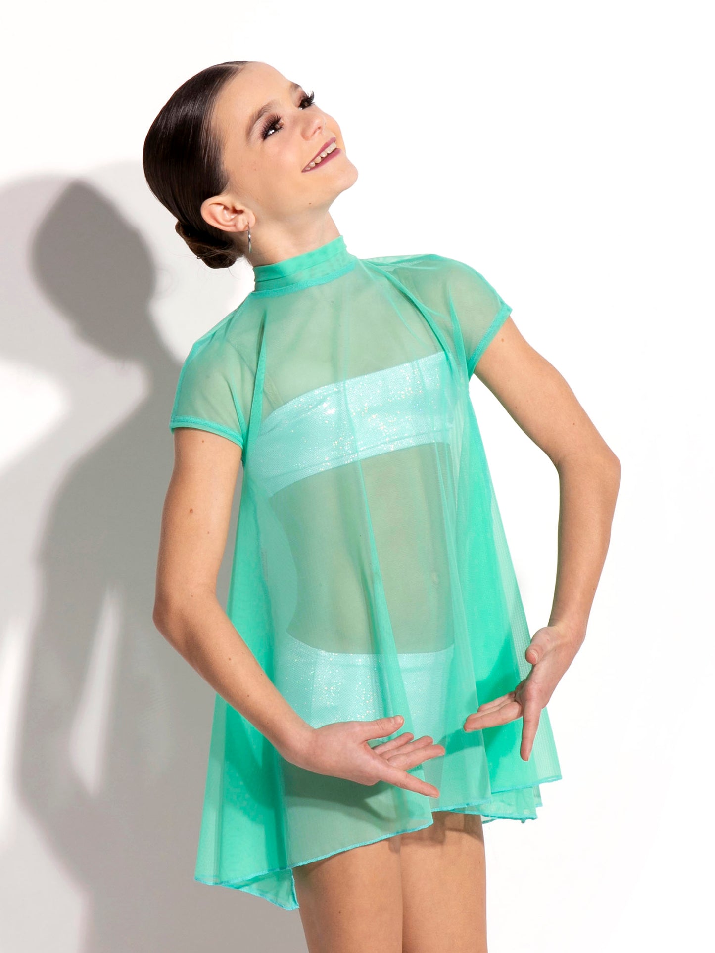 Elin Mesh Overlay