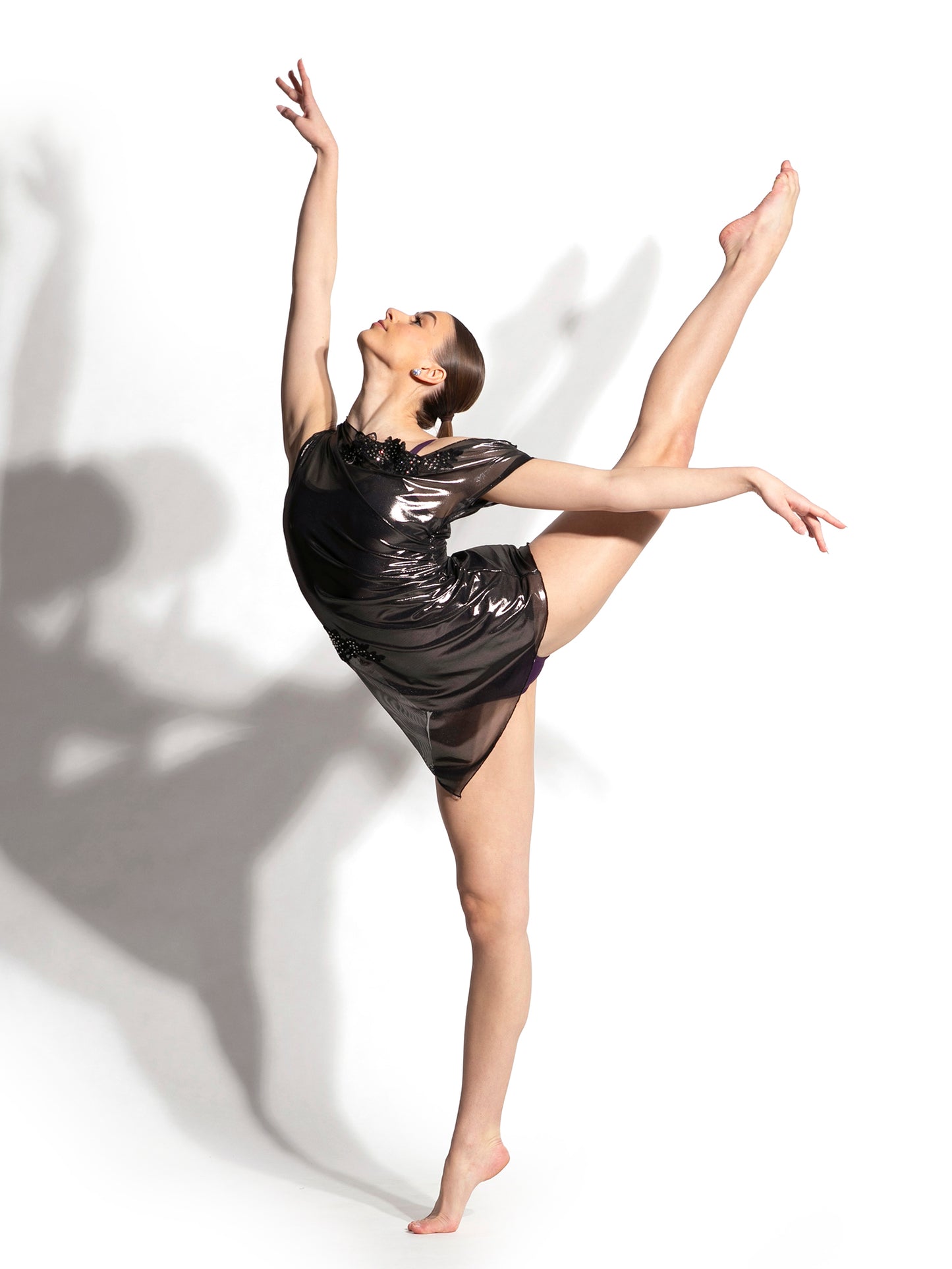 Isla Metallic Mesh Dress with Appliques