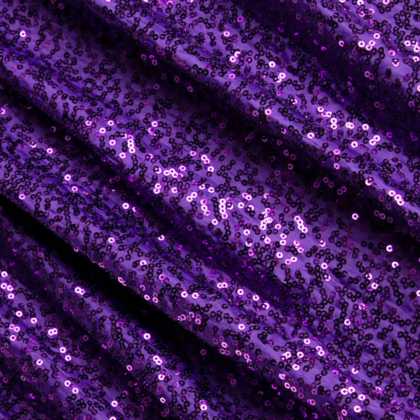 Purple/Purple Zsa Zsa