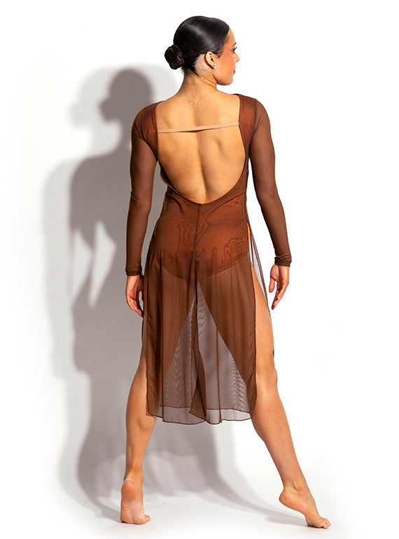 Celeste Mesh Dress Alternate Image 1