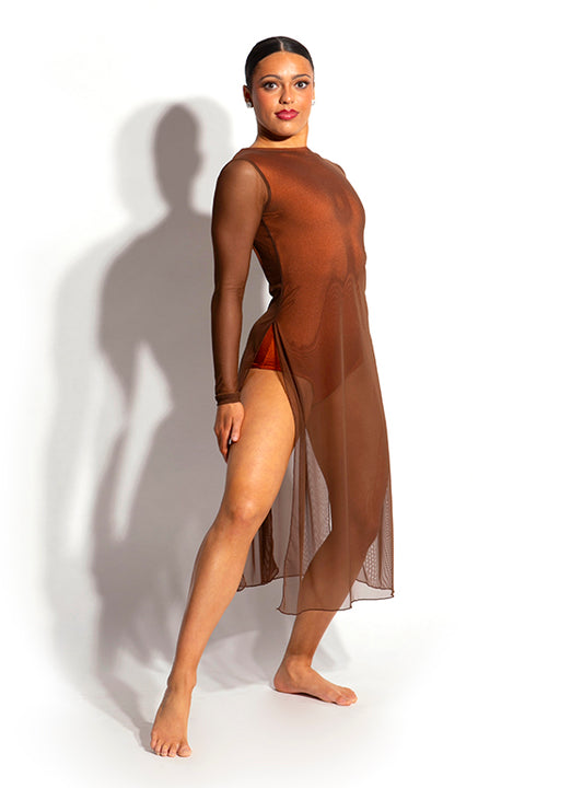 Celeste Mesh Dress Alternate Image