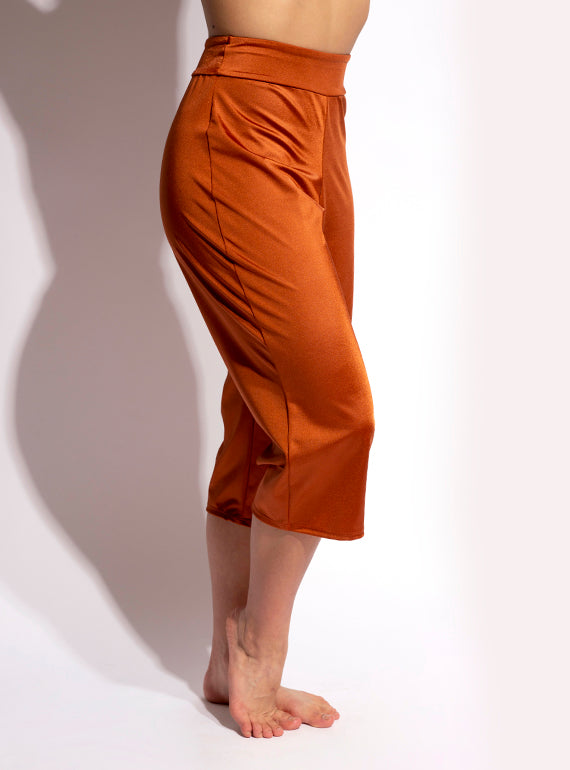 Cropped Command Pants Alternate Image 3