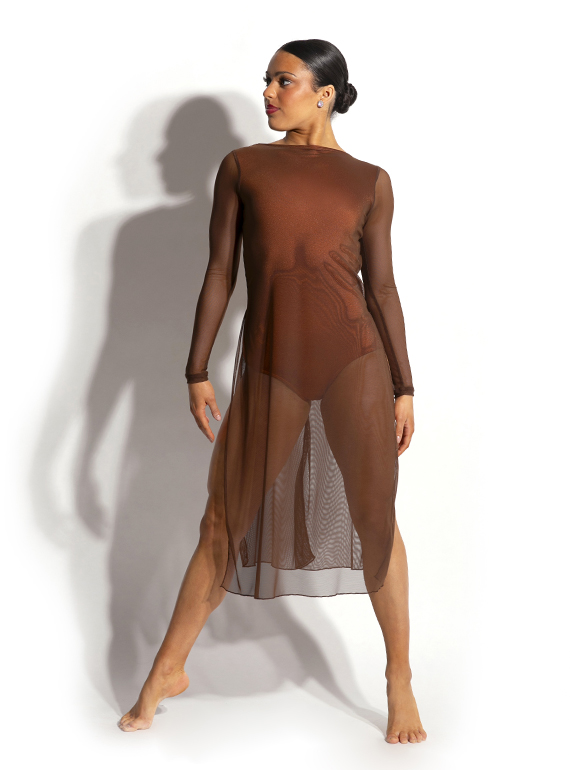 Celeste Mesh Dress